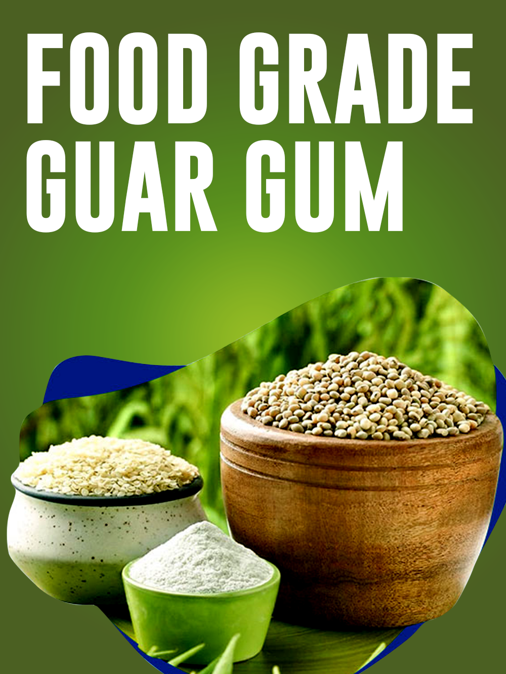 Food Grade Guar Gum Powder